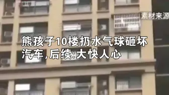 Download Video: 熊孩子从10楼扔水气球砸坏汽车后续:大快人心