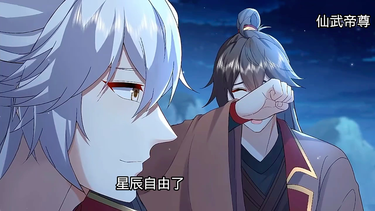 叶辰帮助道身叶星辰去向星月圣女提亲