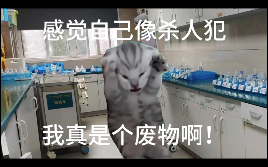 【猫meme】新兵专业训练耗材:三个战友哔哩哔哩bilibili