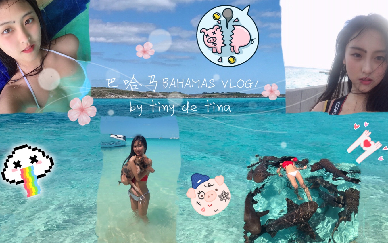 [图]巴哈马 Bahamas Vlog1 | 假期旅游小众海岛国 打卡网红猪岛 鲨鱼岛 蜥蜴岛| By Tiny de Tina