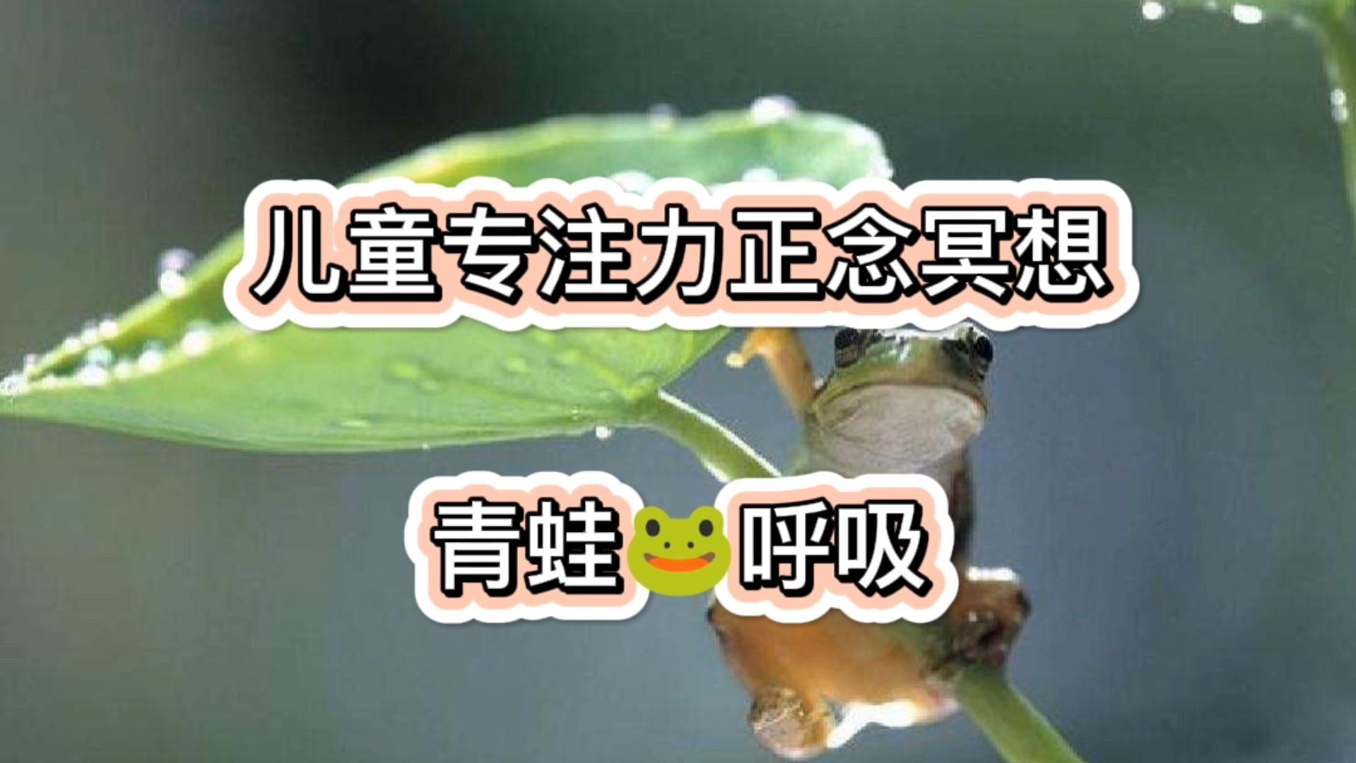 [图]正面冥想|每天五分钟，快速放松身心、提升专注力和自信