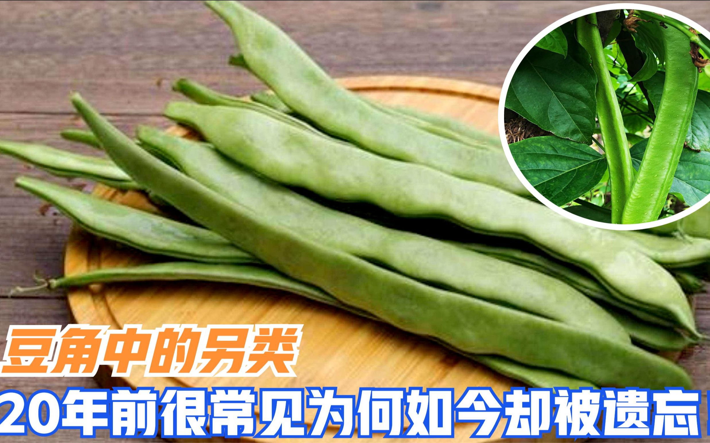 野豇豆的功效与作用图片