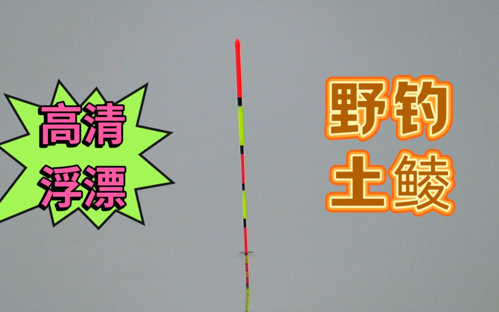 野钓土鲮看高清浮漂,浮漂每一个信号清晰可见,这感觉真好哔哩哔哩bilibili