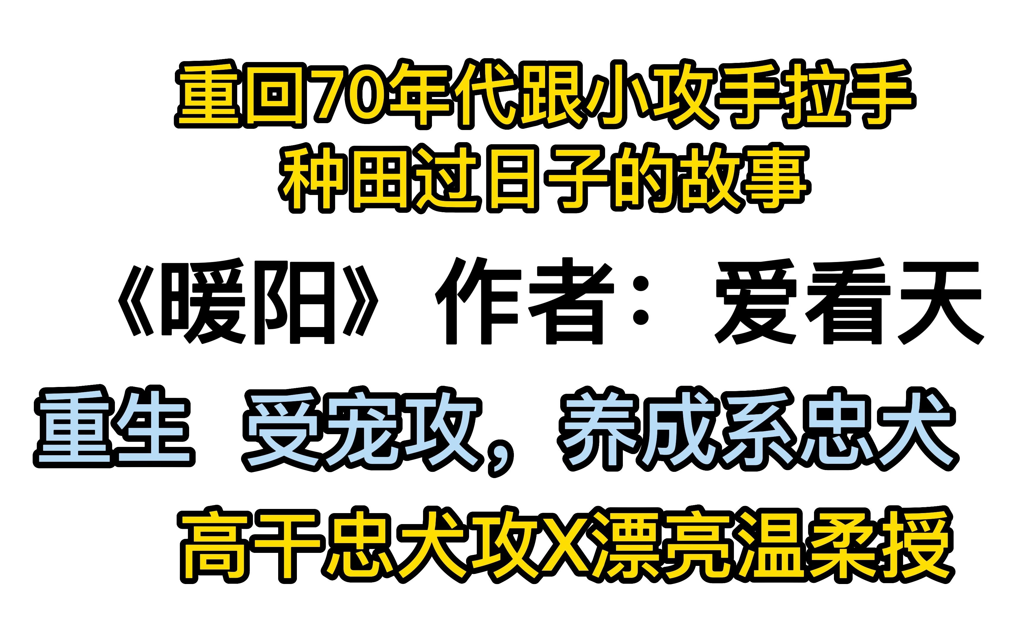 [图]《暖阳》by爱看天，养成甜文，高干忠犬攻X漂亮温柔授。授重回70年代跟小攻手拉手种田过日子的故事