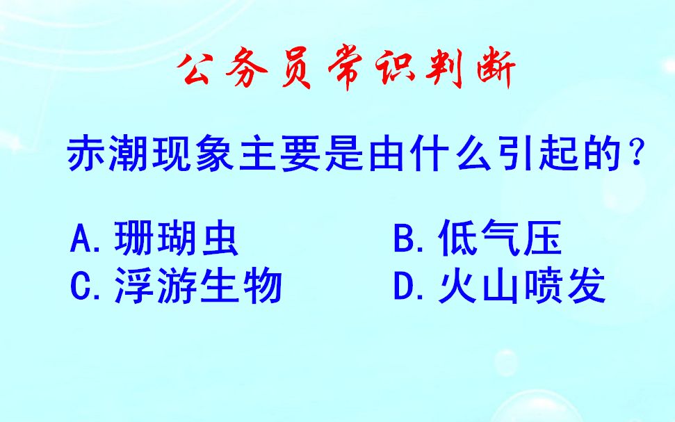 公务员常识判断,赤潮现象主要是由什么引起的?哔哩哔哩bilibili