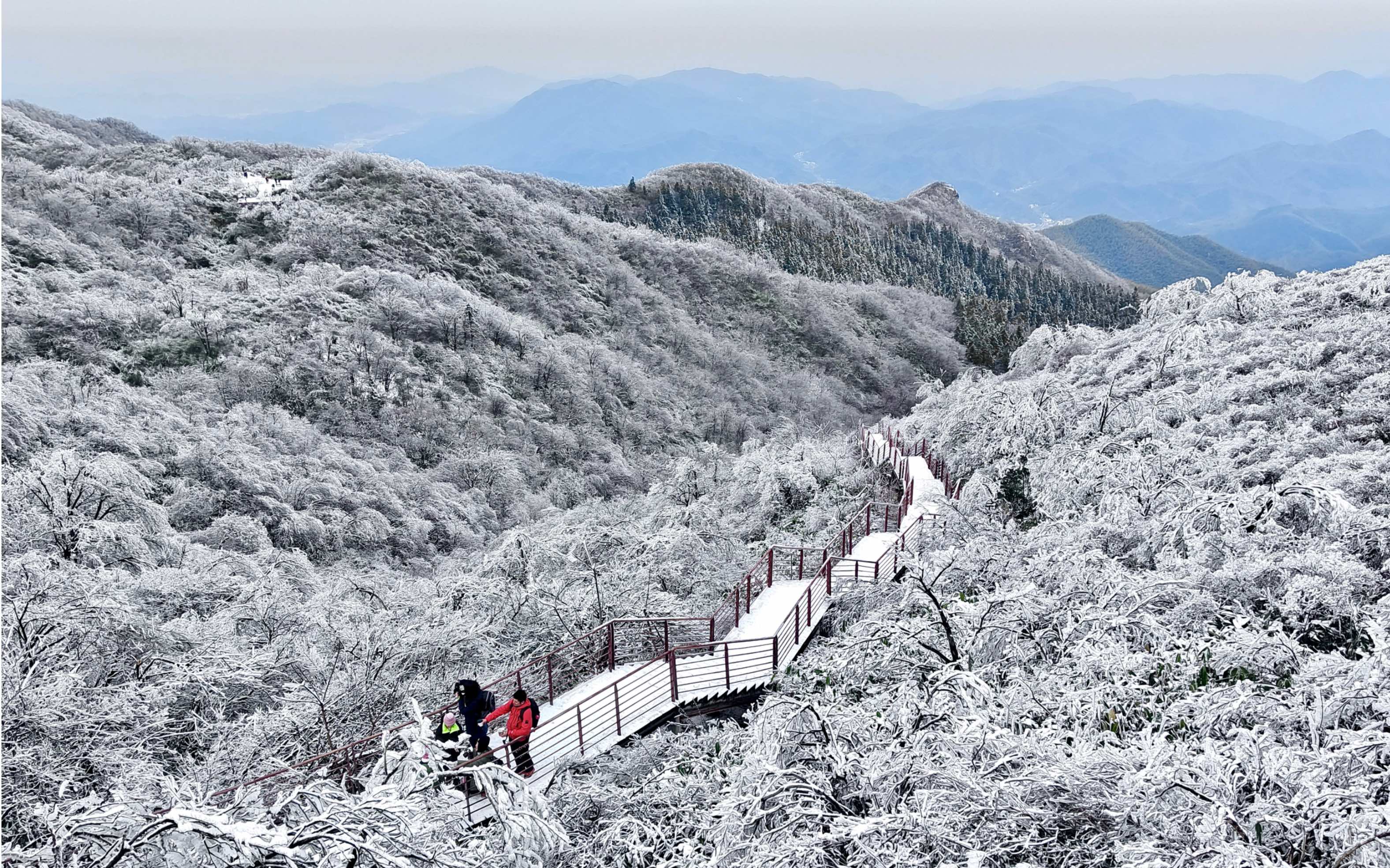 231223 杭州鸬鸟山雪景 