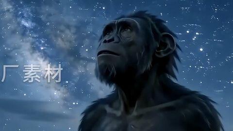 6K】宇宙诞生人类进化历程-超宽屏_哔哩哔哩_bilibili