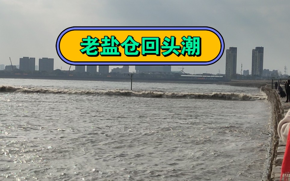 钱塘江大潮之老盐仓回头潮