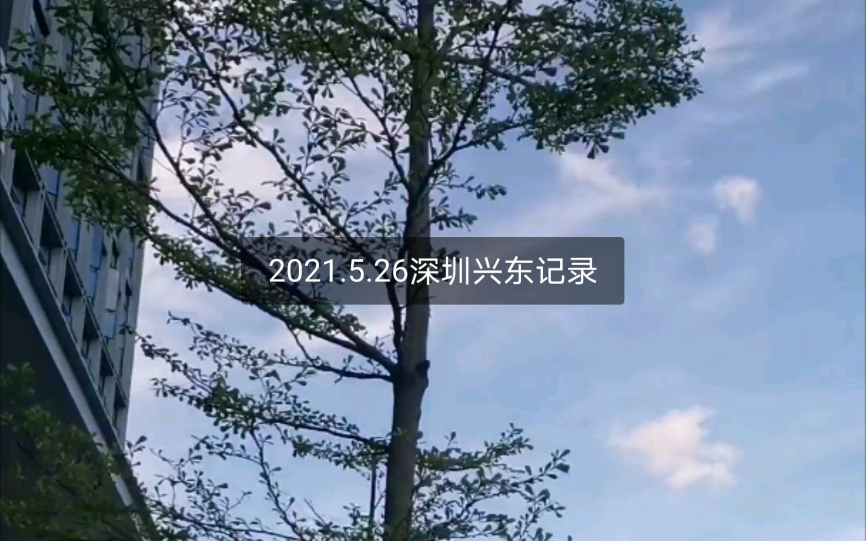 2021.5.26深圳兴东打卡日常哔哩哔哩bilibili