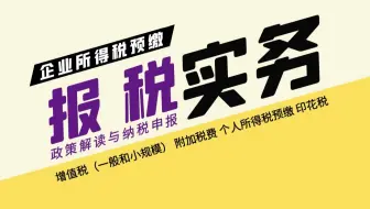 报税（纳税申报）--增值税、企业所得税、个人所得税、附加税费、印花税