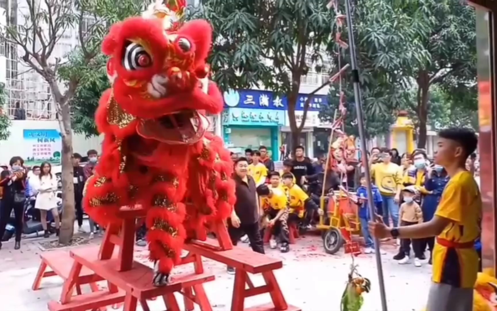 [图]各师各法，传统地青套路之“醒狮”，侧面拍摄版本（非物质传统文化遗产）