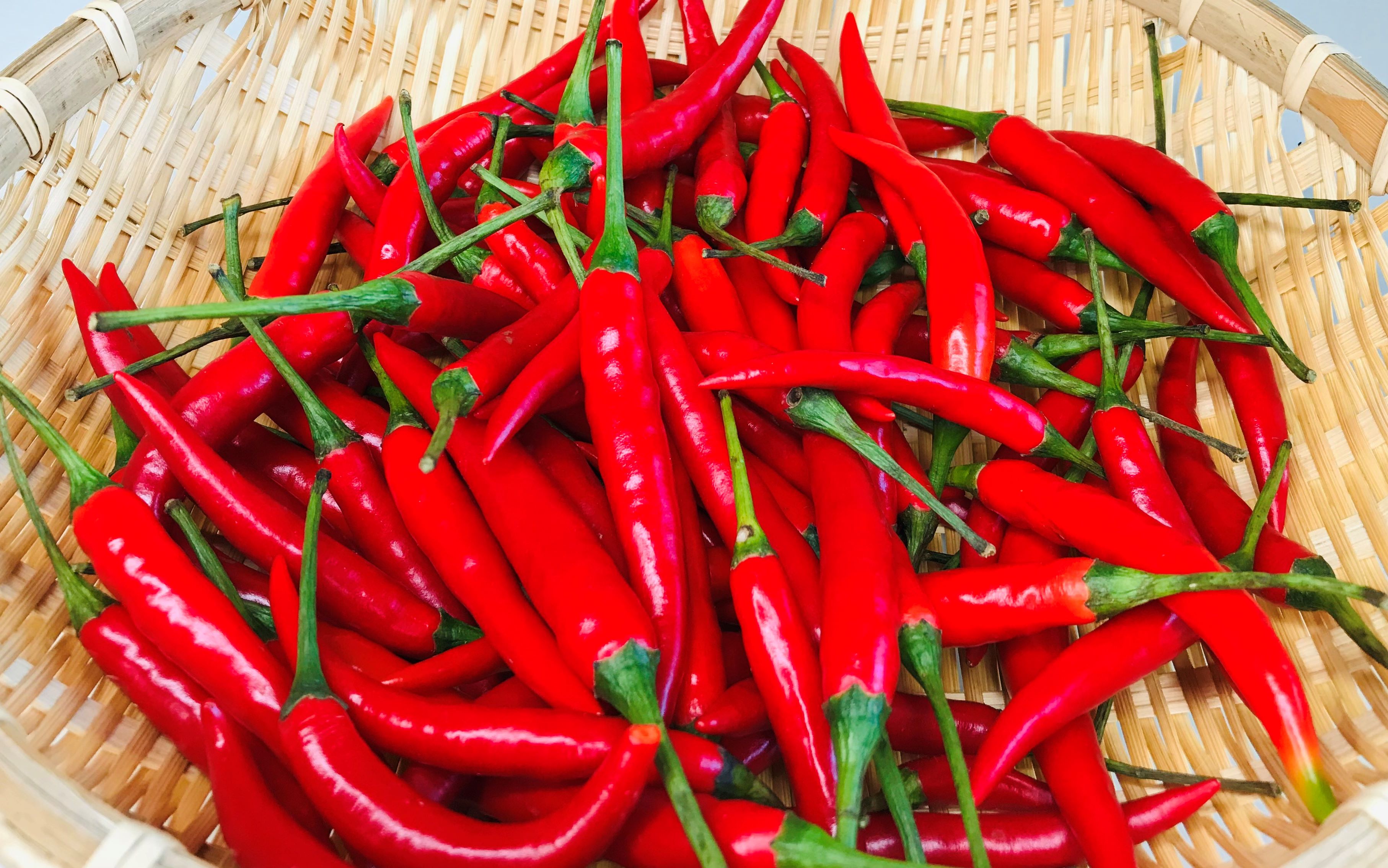 保存小米椒,直接扔冰箱就错了,教你保鲜妙招,放一年都新鲜