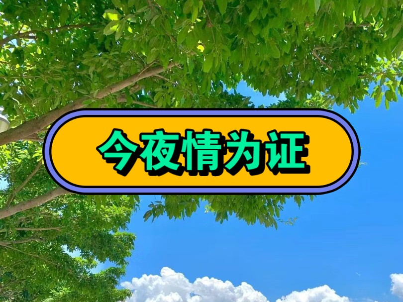 《今☞夜☞情☞为☞证》☞【番☞茄☞小☞说】#小说推荐 #文荒推荐 #推文超好看小说 #推文小说#炒鸡好看小说强烈推荐##双男主#双女主#不看后悔系列#...