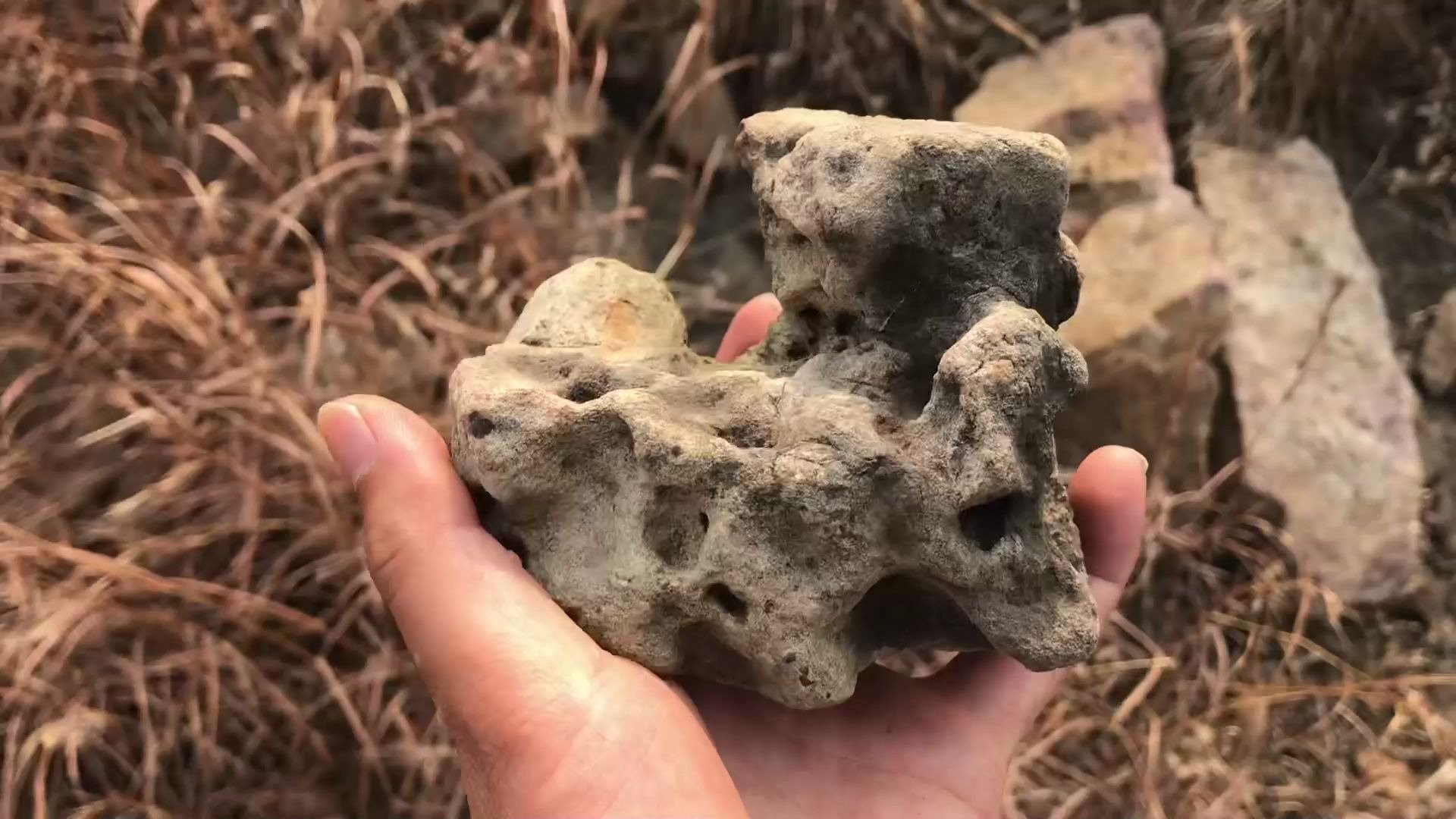 上山捡石头捡了一块漂亮的窟窿石是个值得收藏的奇石小摆件