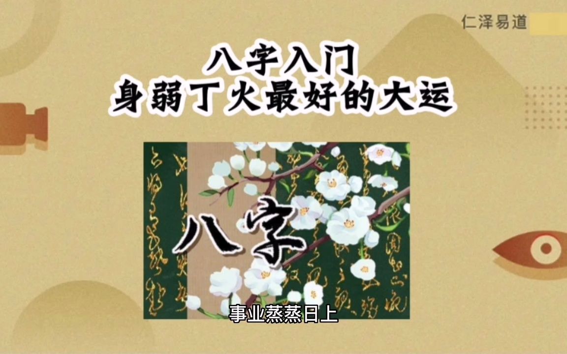 八字入门:身弱丁火最好的大运哔哩哔哩bilibili