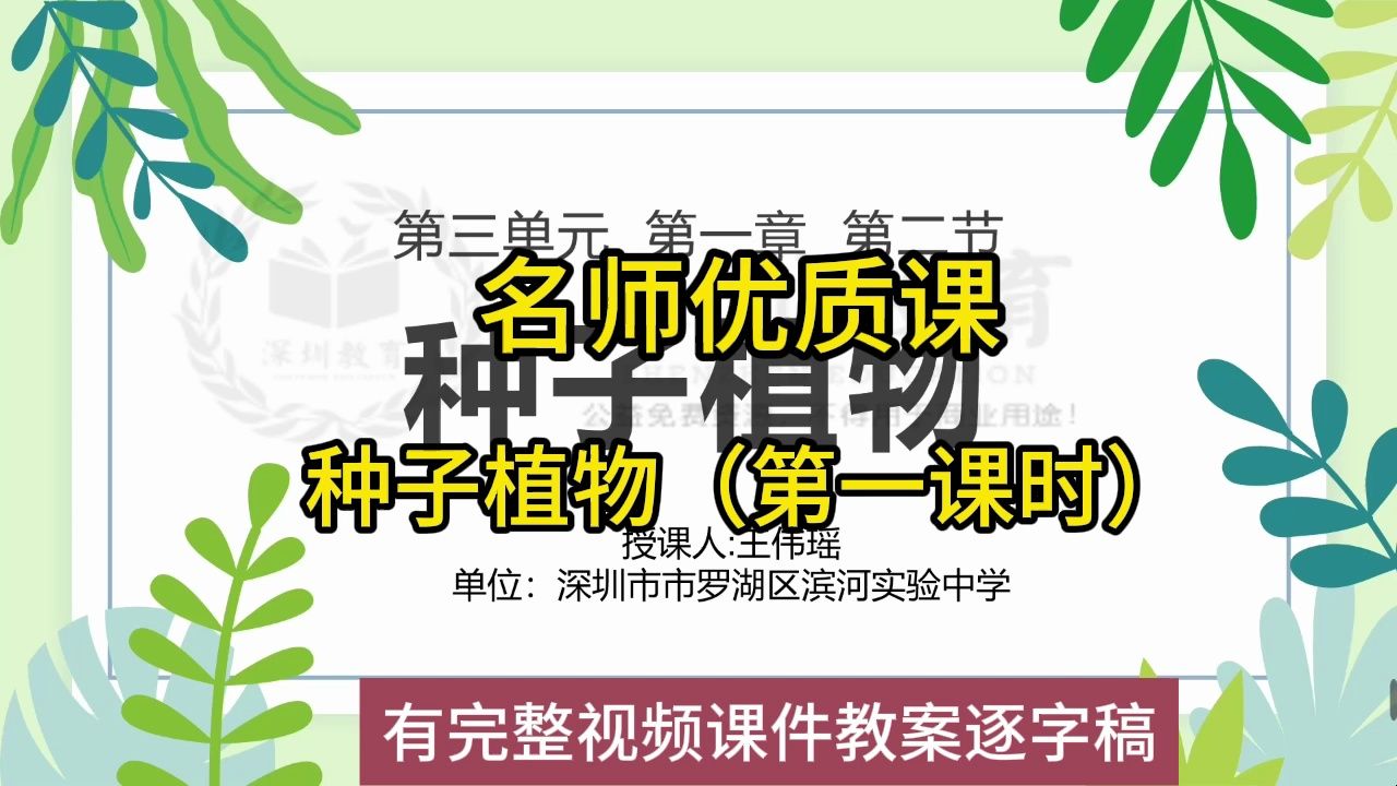 深圳微课大赛初中生物2022种子植物(第一课时):初中生物新课标学习任务群|名师优质课公开课示范课(有完整视频课件教案逐字稿)哔哩哔哩bilibili