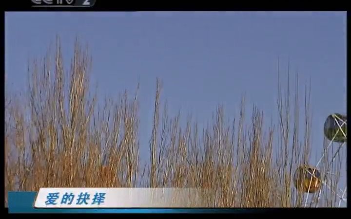 [图]《经济与法》20081210 爱的抉择