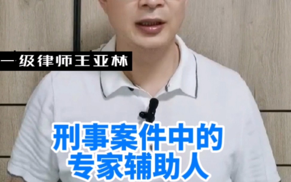 刑事案件中的专家辅助人#有专门知识的人哔哩哔哩bilibili