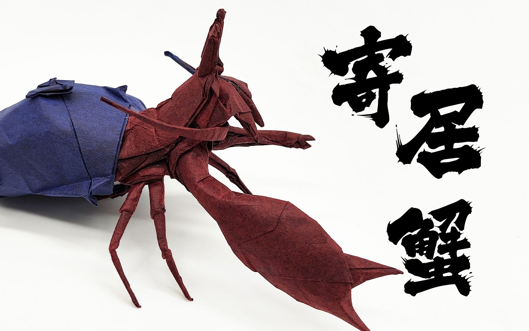 【折纸】我这只寄居蟹折的多少有点潦草了
