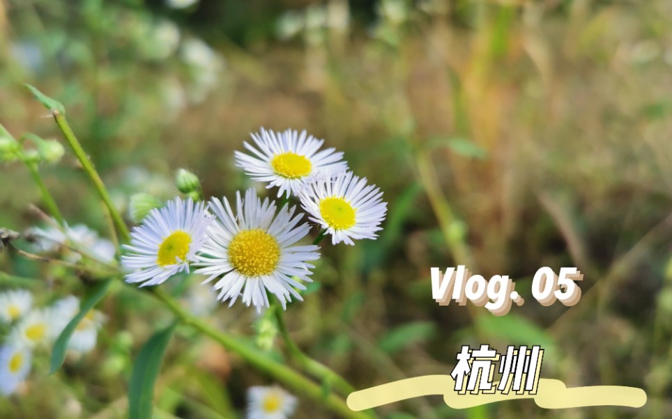 [图]MushroomのVlog #05 那杭州美景盖世无双～