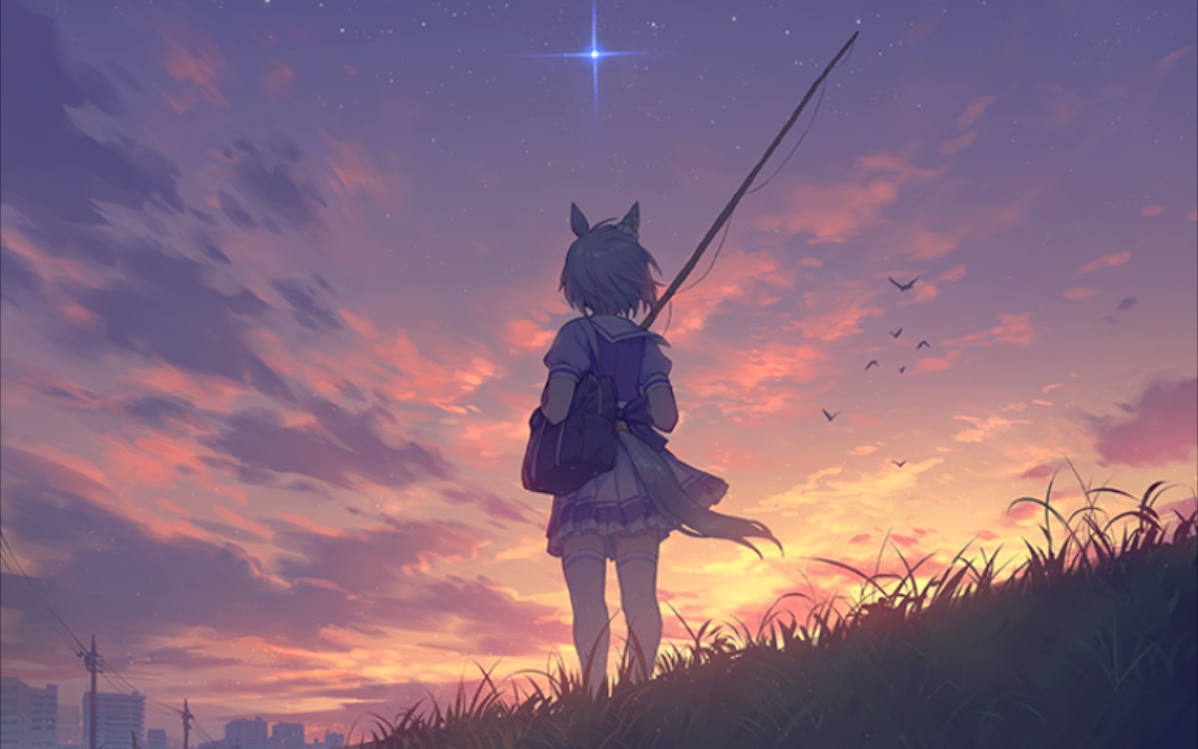 『枫月海の赛马娘』双子杯大赛 :我的 蔚～蓝～星～空