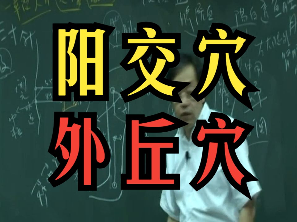 倪海厦 【阳交穴】【外丘穴】狗咬伤怎么处理