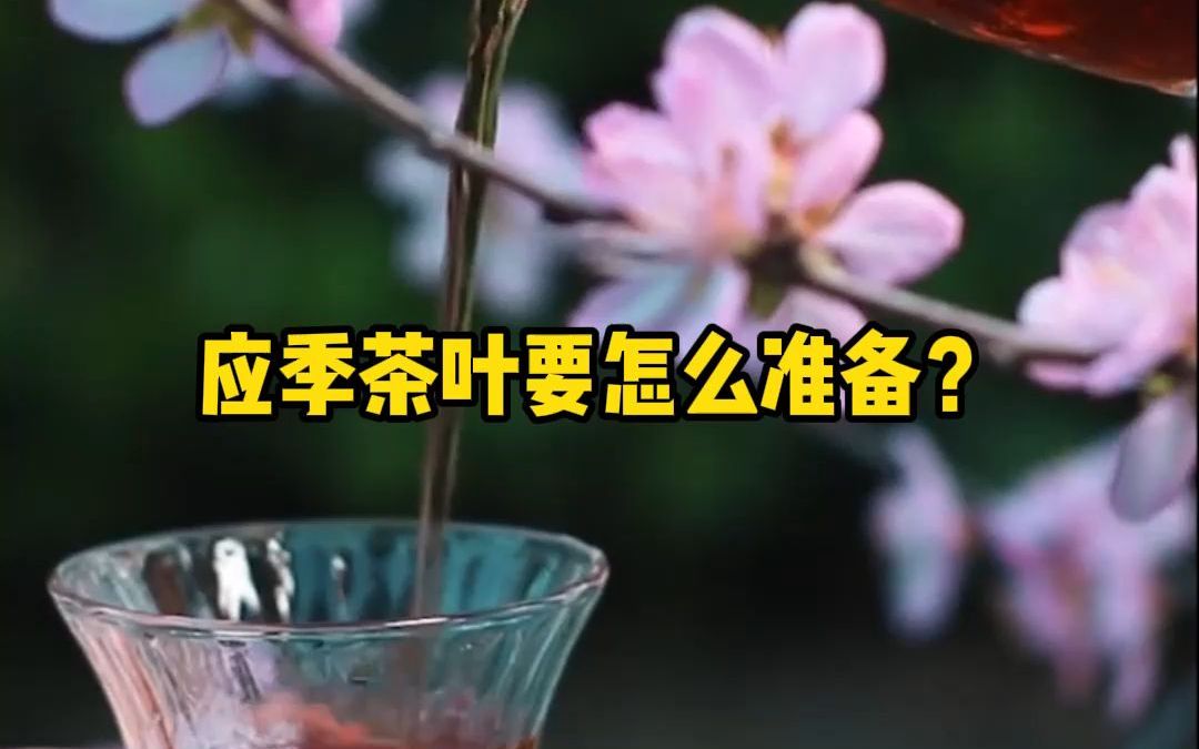 应季茶叶要怎么准备?哔哩哔哩bilibili