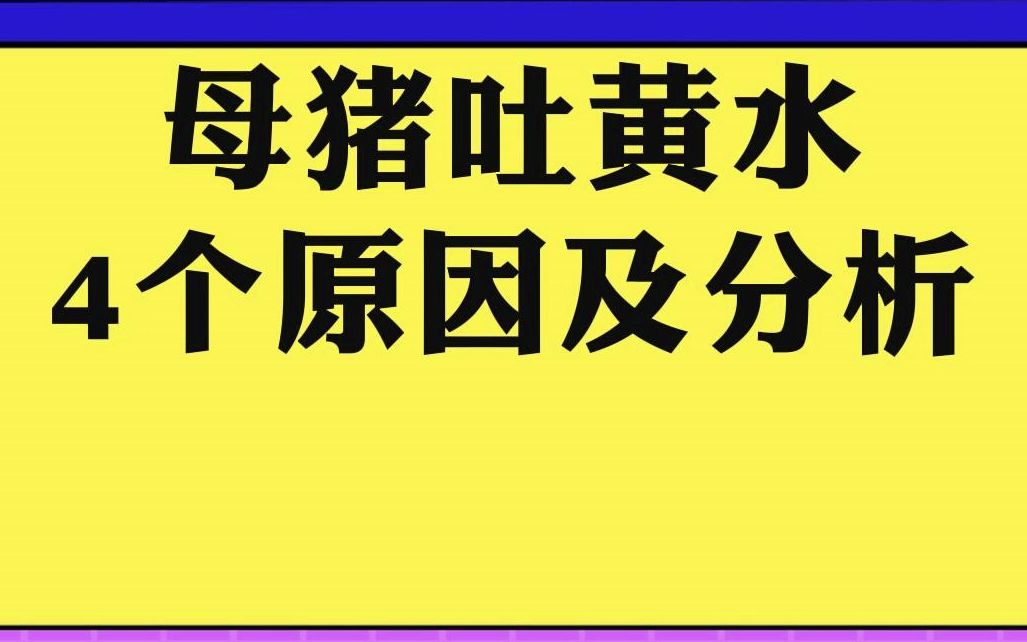 母猪吐黄水、带有粘液,可能的原因分析:胃溃疡?饲料霉变?肠胃炎?哔哩哔哩bilibili