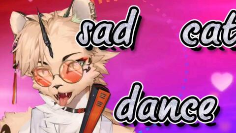 sad cat dance。_哔哩哔哩_bilibili