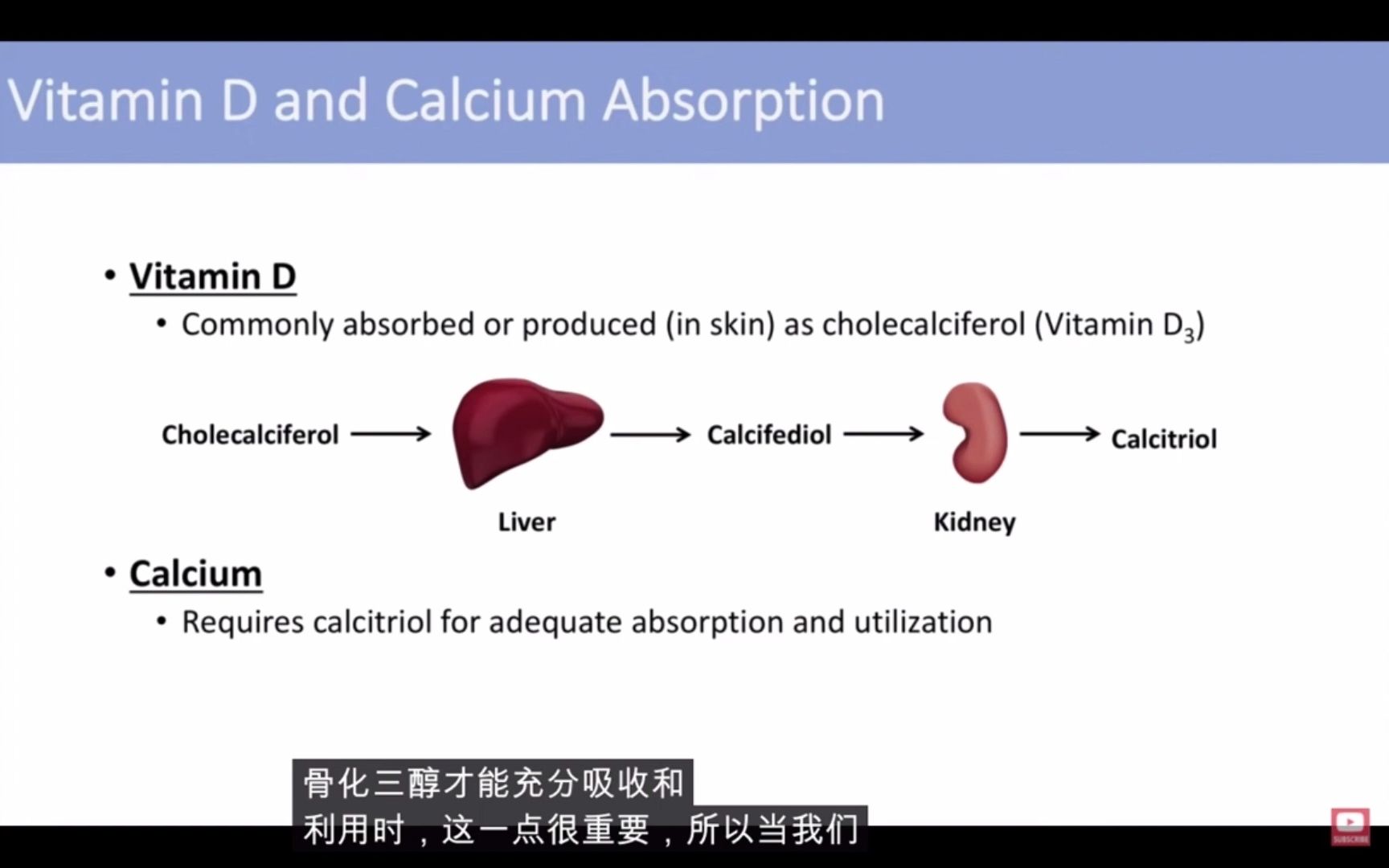 维生素D和钙如何在体内吸收?每天补充多少合适?哔哩哔哩bilibili