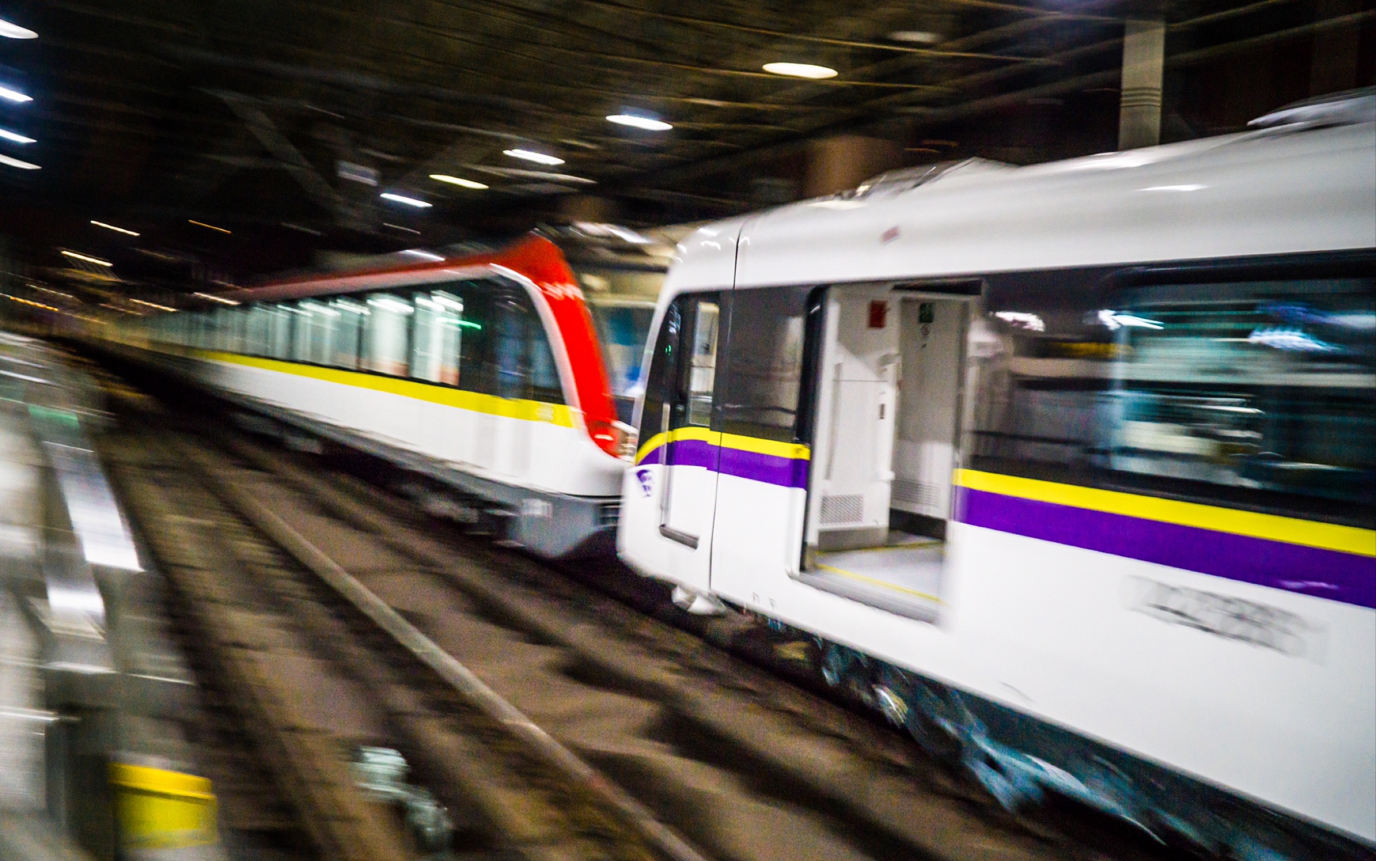 上海地铁深夜黄鱼把包公拐走了