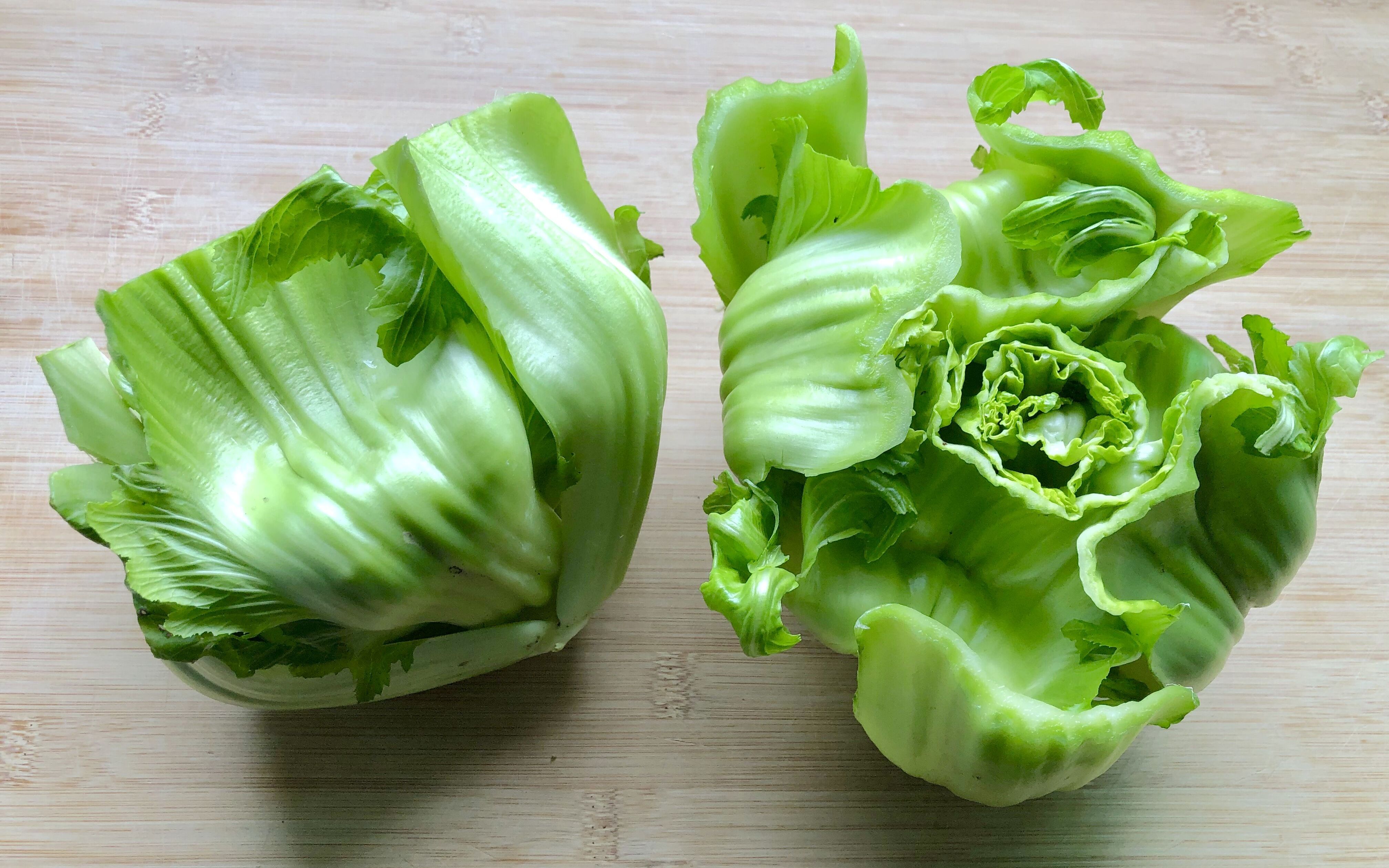 包包菜,还是四川这种做法最好吃,不炒不煮不腌制,越吃越想吃