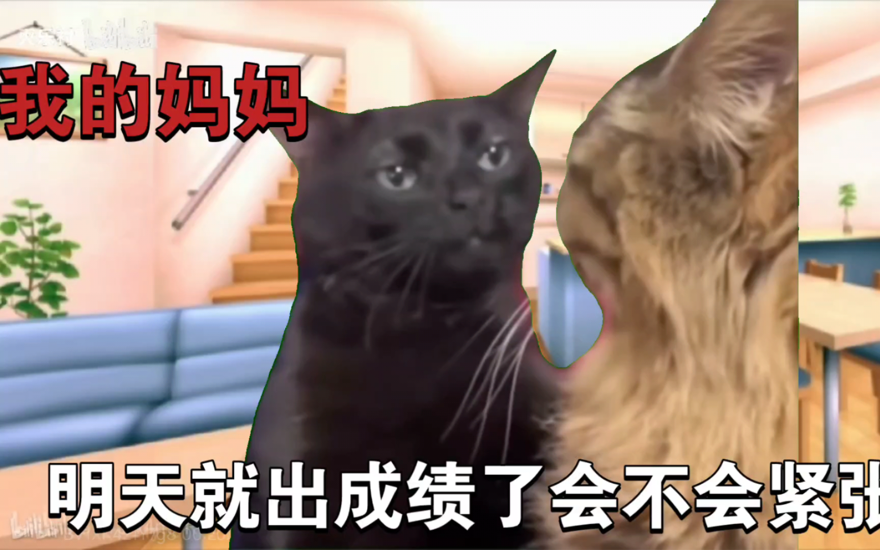 猫meme之江西高考查分的偏科大王哔哩哔哩bilibili