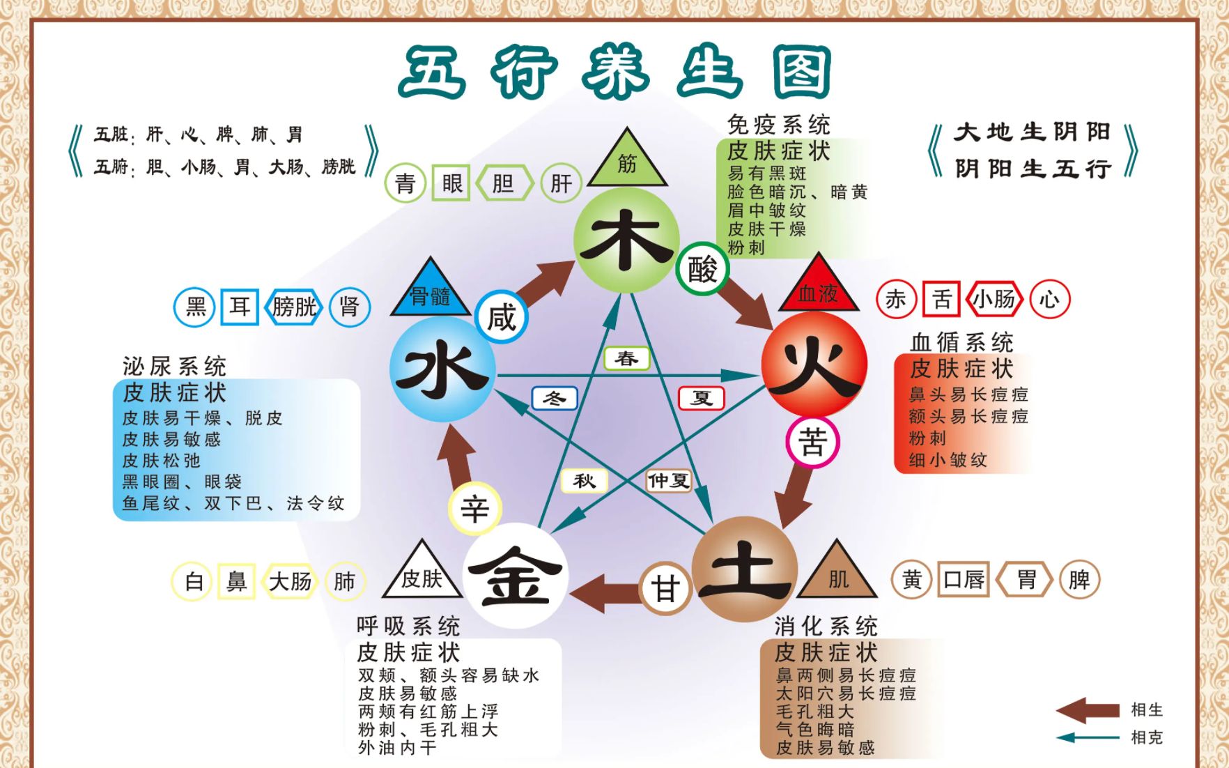 四季:「阴阳」、「五行」与「养生」哔哩哔哩bilibili