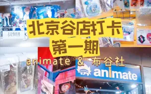 【北京谷店打卡（一）】animate和布谷社