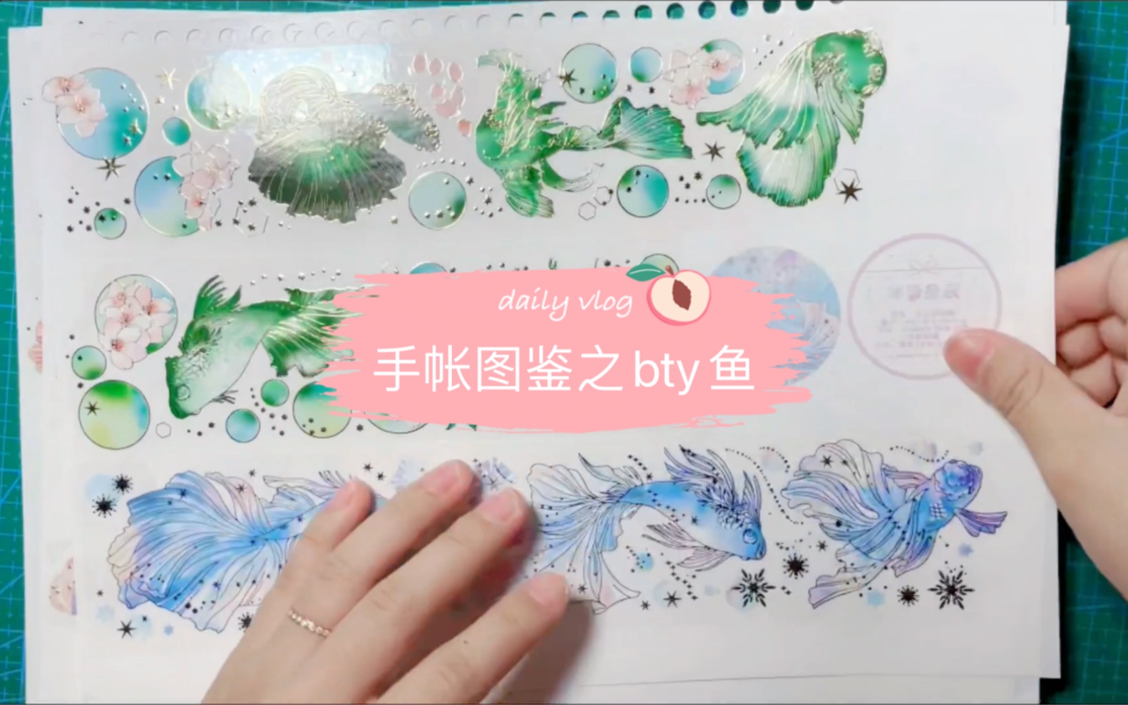 【手帐图鉴】bty鱼鱼图鉴哔哩哔哩bilibili