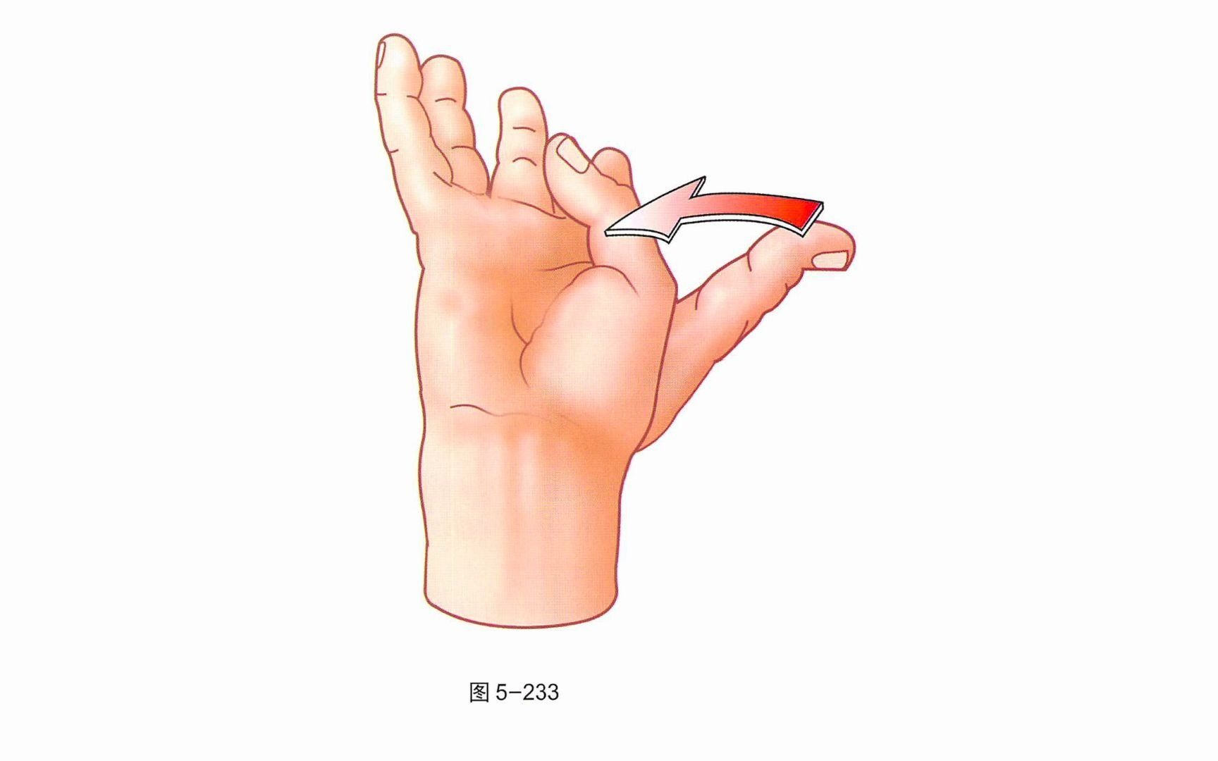 拇指对掌运动图片