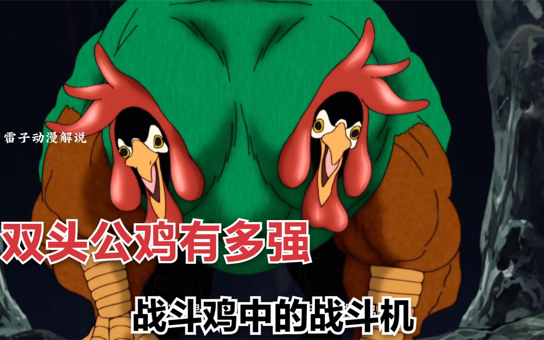 双头公鸡 公鸡中的战斗鸡