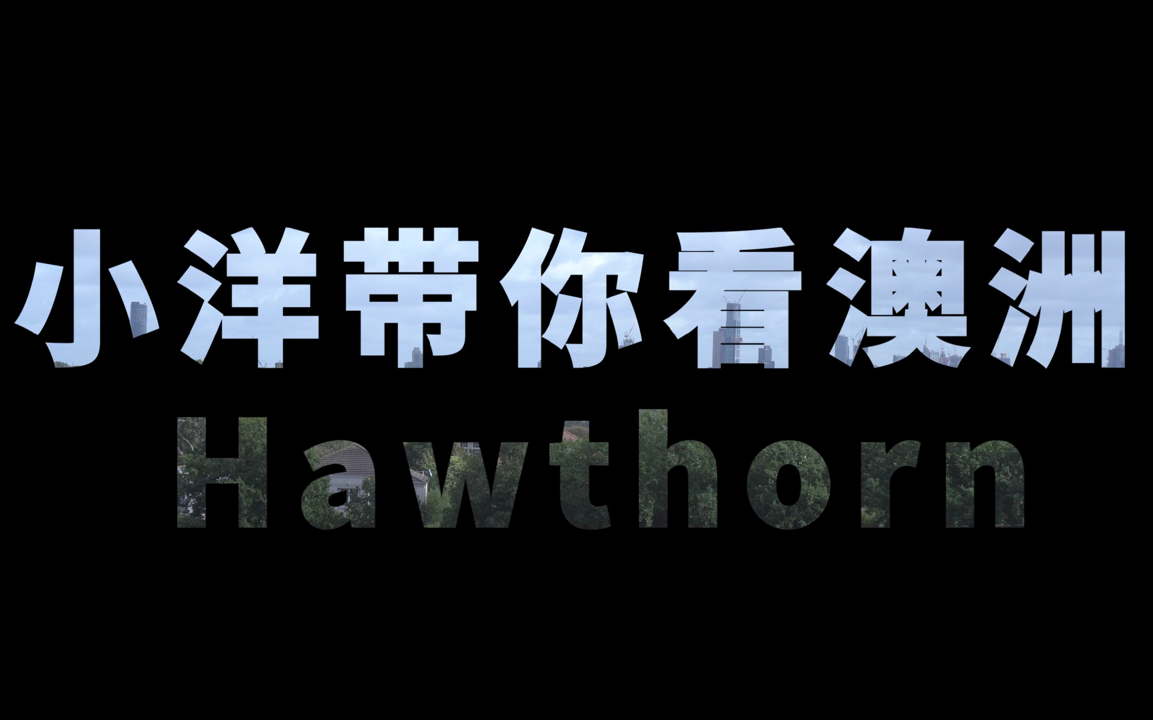 Hawthorn小洋带你看澳洲哔哩哔哩bilibili