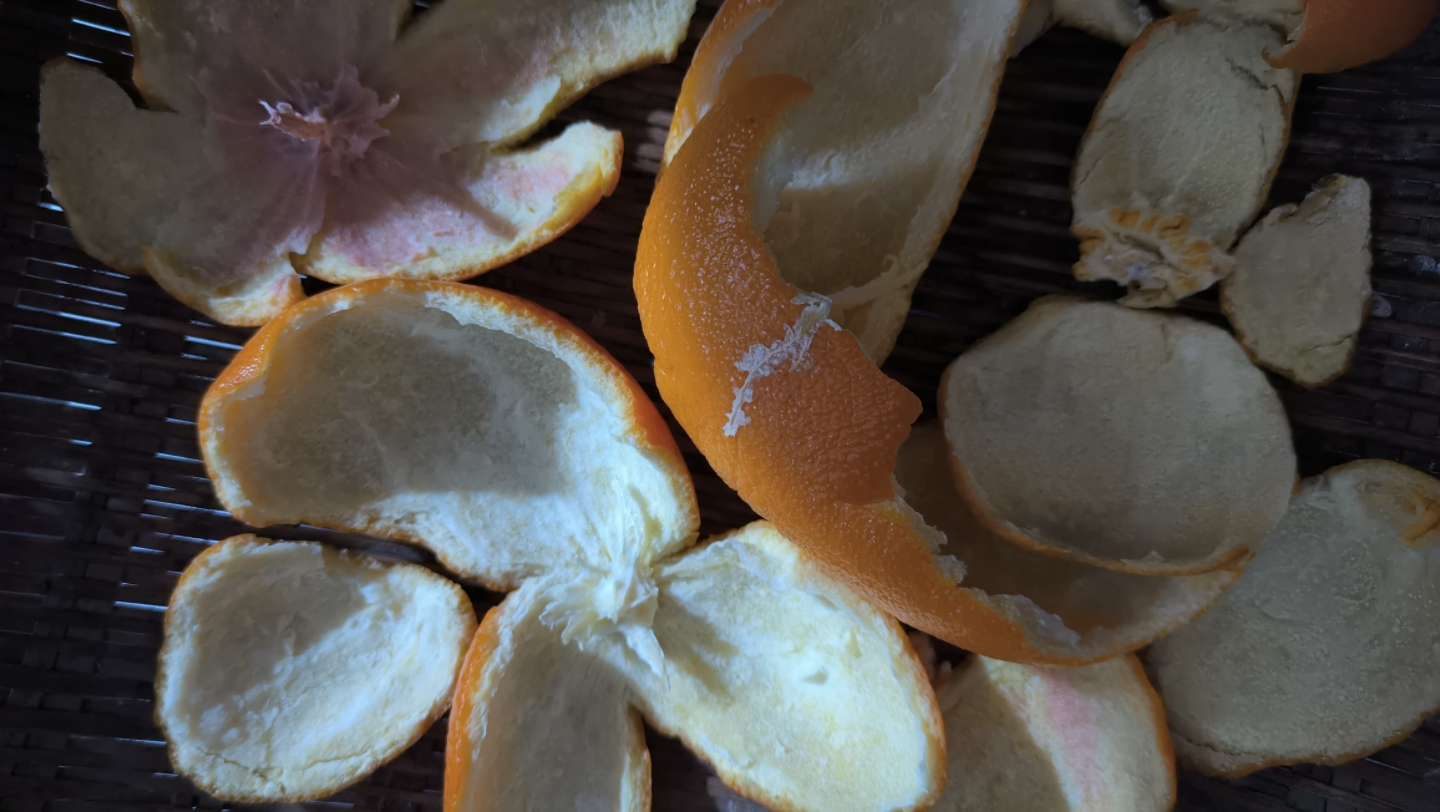 买不到陈皮?自己动手,一蒸一晒,晒了一天的橙子皮.