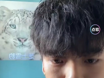 顶真丁真直播,看不懂评论,当场