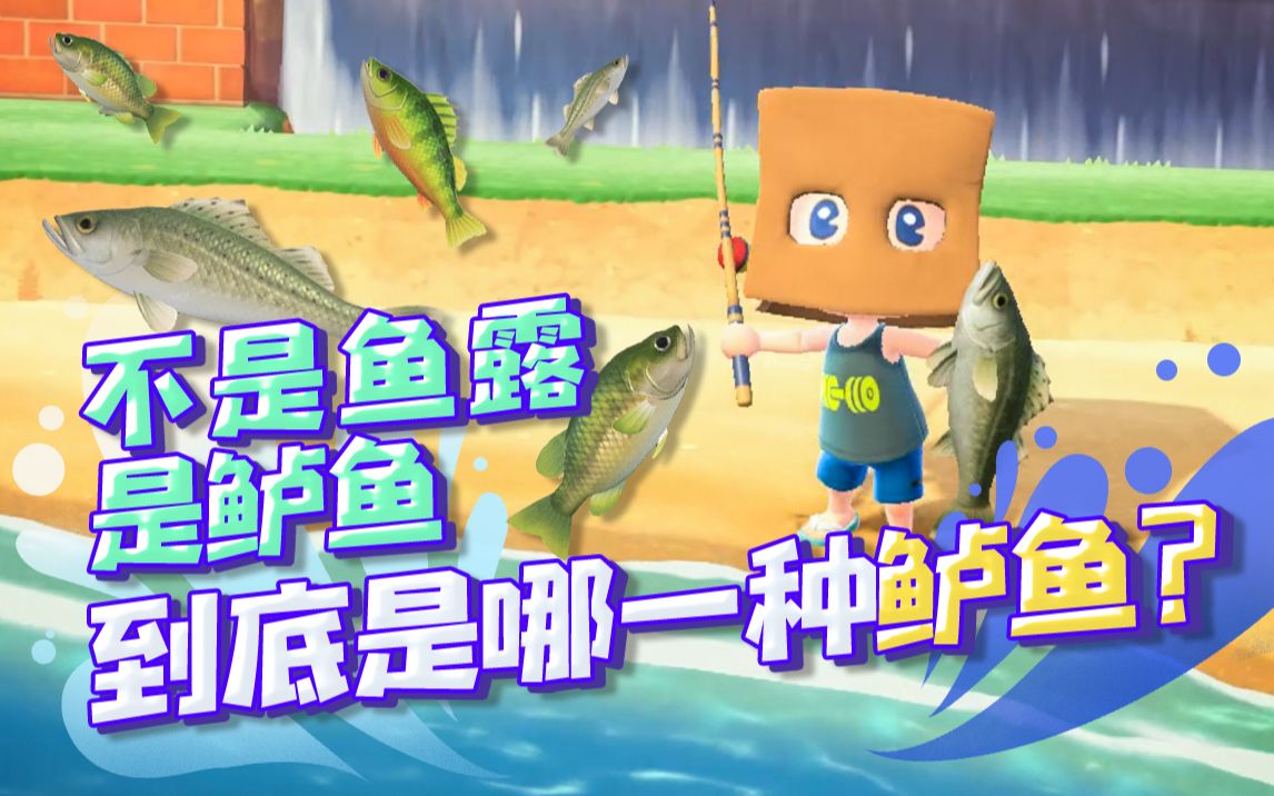 不是鱼露,是鲈鱼哦