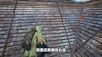 Download Video: 国人联盟遭遇袭击，楠妹惨遭侮辱  scum