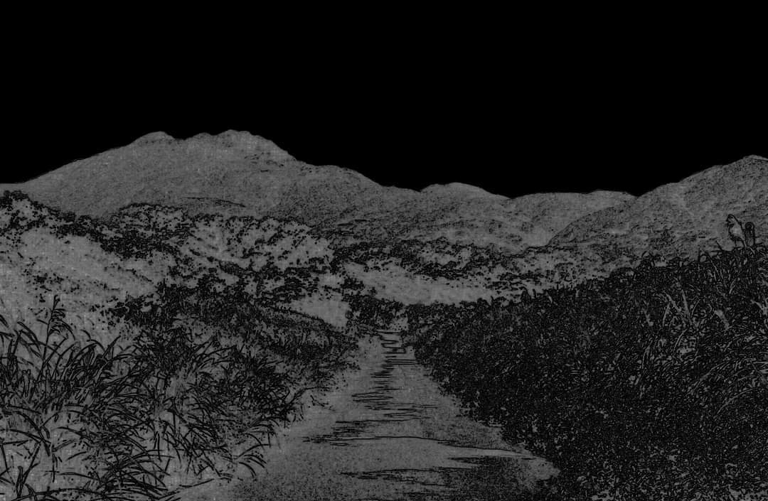 从草东街到草东没有派对 我会一直都在