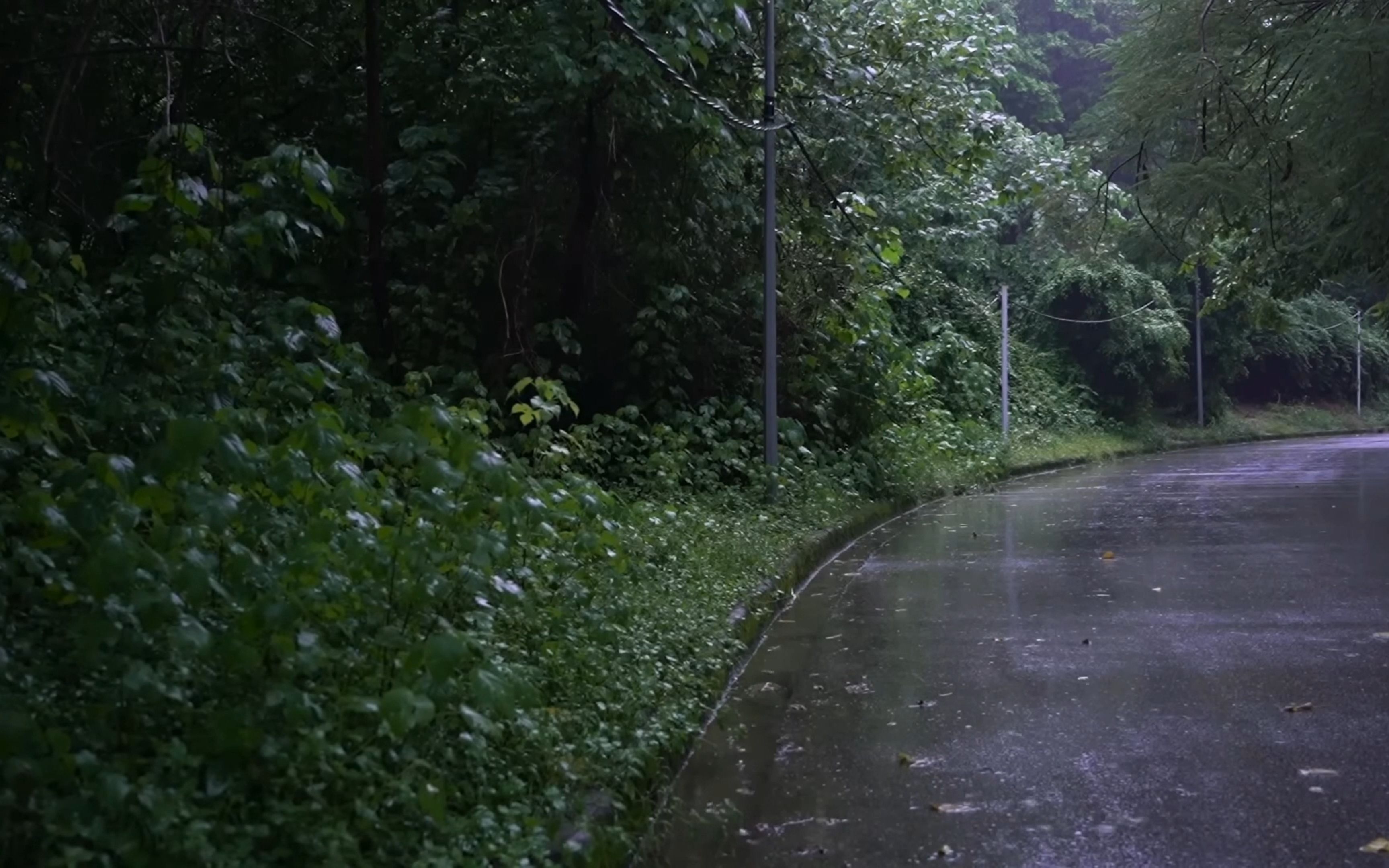 [图]“ 梦醒人间看微雨，一扫眉间几多愁 ”