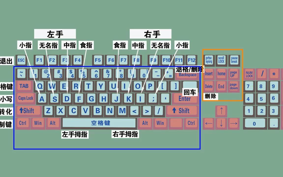 電腦初學者認識鍵盤和鍵盤正確打字方法