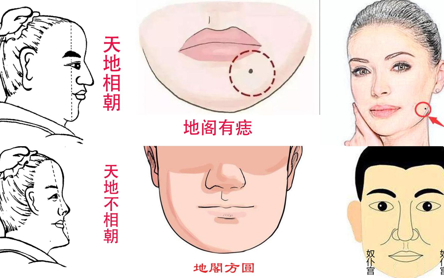 女人右腮有痣图解图片