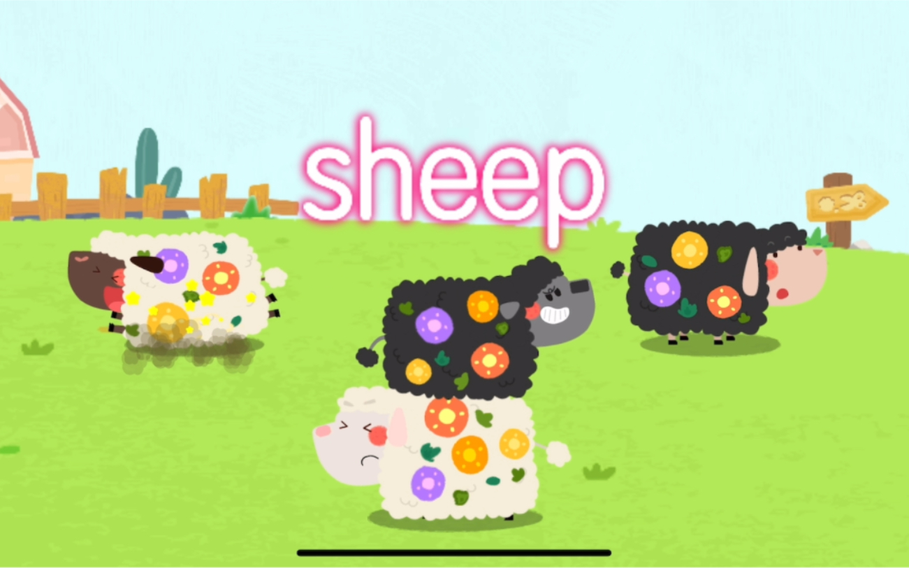 寶寶學英語,羊(sheep)我們一起來學習英語單詞sheep