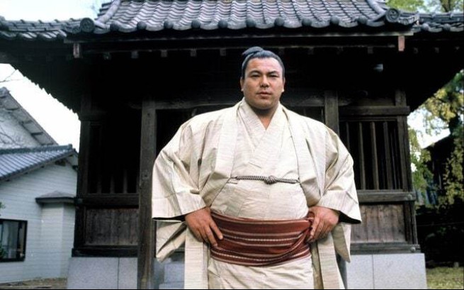 相扑千代富士身高体重图片