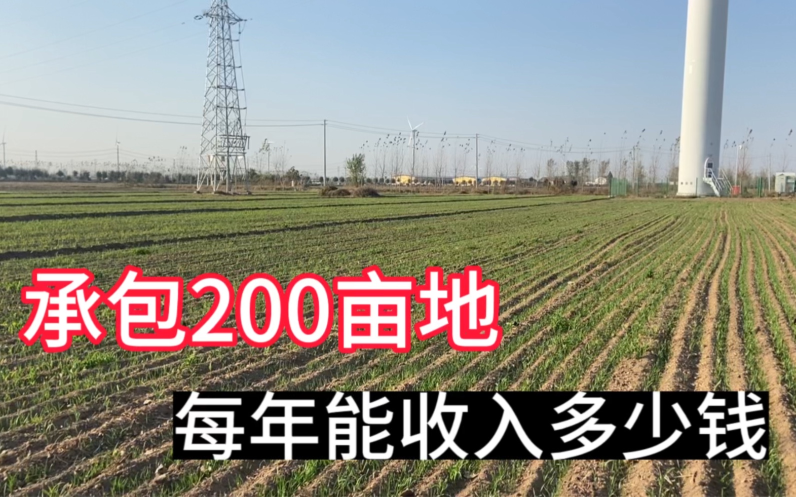 在农村承包200亩地,看一年能够收入多少?说出来你都不敢相信哔哩哔哩bilibili